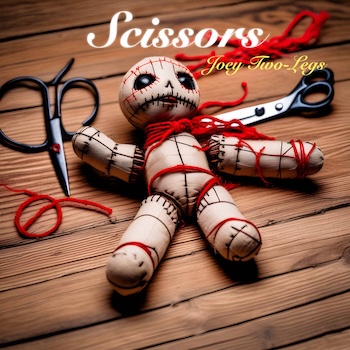 Scissors track cover
