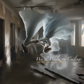 We'll Waltz on Ceilings track cover